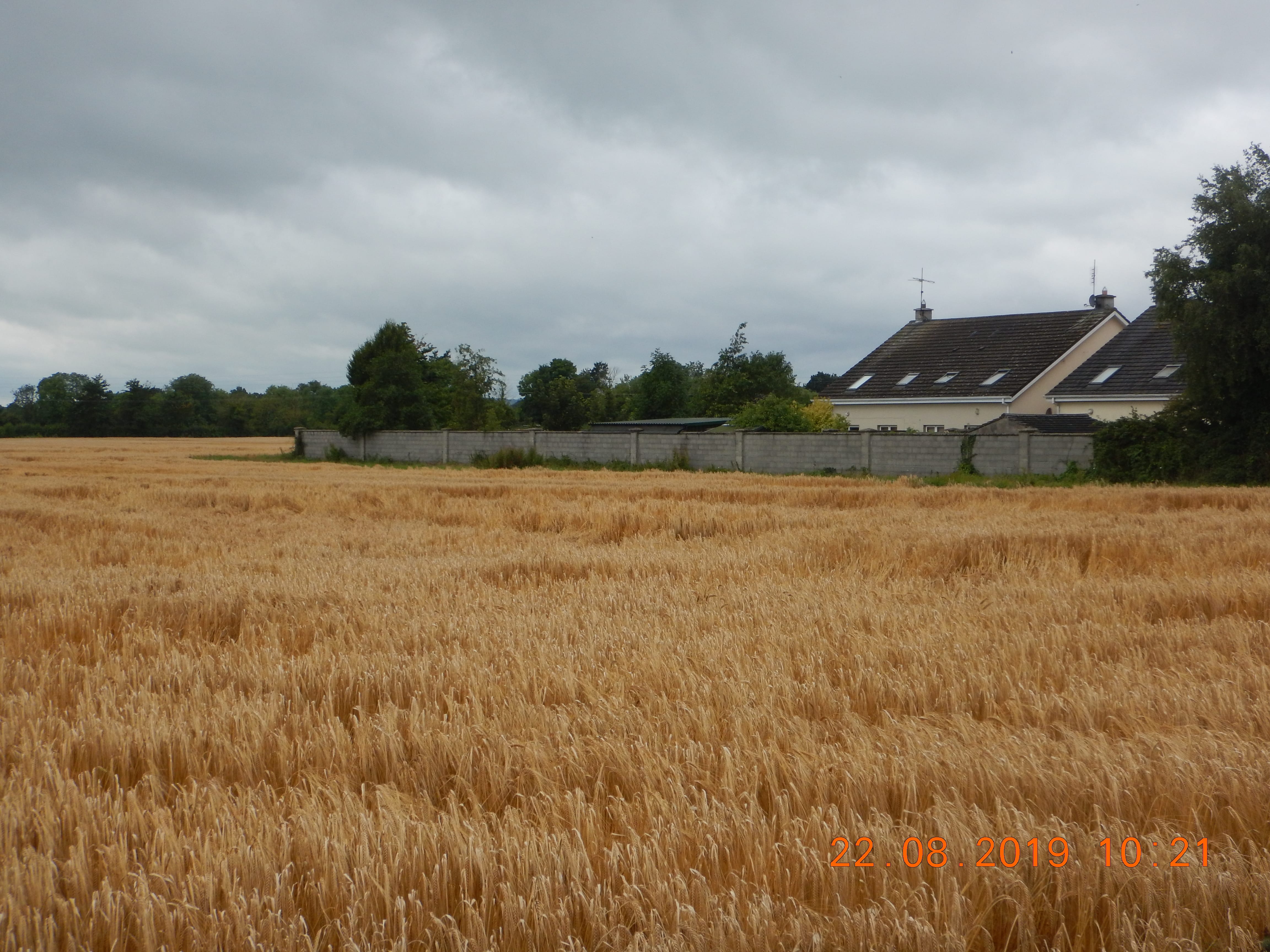 Bakers field